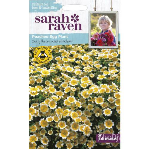 เมล็ด Johnsons Sarah Raven ปลูกดอกไม้ฤดูร้อนของคุณเอง Poached Egg Plant Seeds PKT เมล็ดพันธุ์