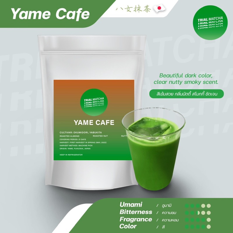 ซื้อ TRIAL MATCHA | ผงมัทฉะยาเมะ Yame Cafe