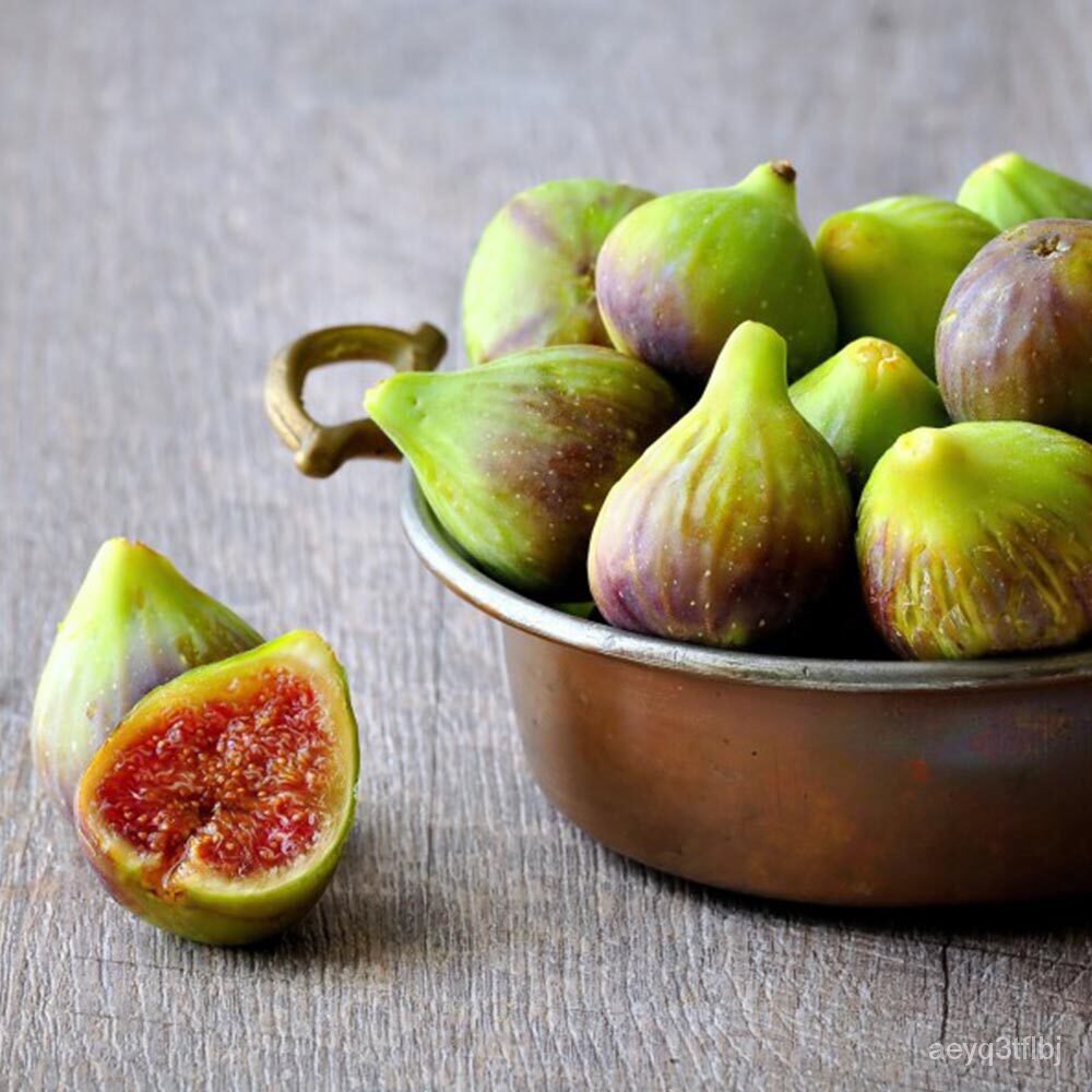 อินทรีย์็ด ใหม่็ด 1 ต้นมะเดื่อฝรั่ง Figs "ทาบกิ่ง" ใหม่ BrunSwick (บันสวิค) Fig ต้นสมบูรณ์ รากแน่น โตพร้อมให้ลูก คละ