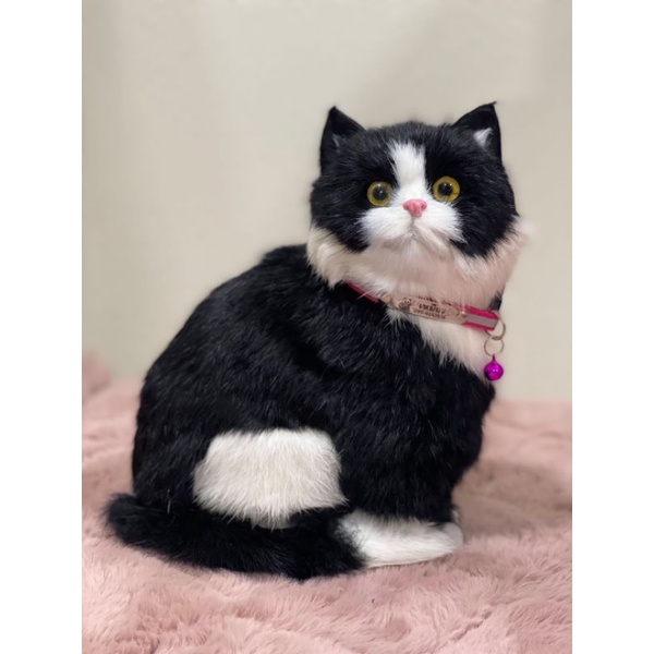 รูปภาพ 4