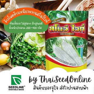 อินทรีย์็ด ใหม่็ด พิเศษ!! ปรับเพิ่มความหวานอีก15% ใหม่ข้าวโพดลูกผสม ข้าวโพดข้าวเหนียวสโนว์ไวท์ ตราซีดไลน์ Waxy C คละ