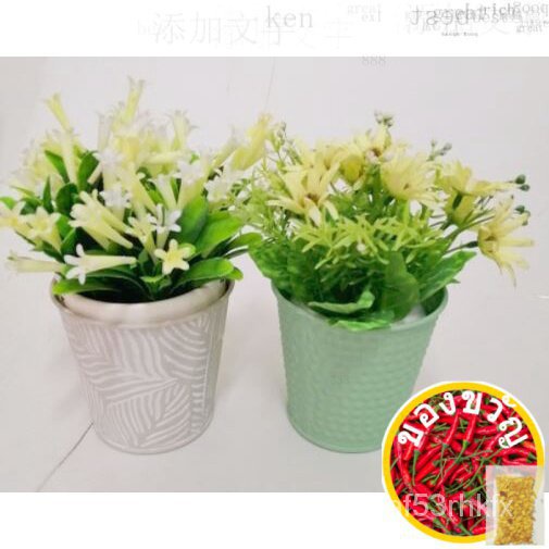 ◾/หวน้อย/ของเล่น/ทำวน/doll/ hook/ doll/ hook/ hook/ สวน/ E0U1