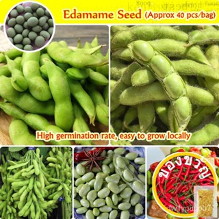 100% Edamame เบบี้ (ประมาณ40ตัว) ดับเบิ้ล NAZD