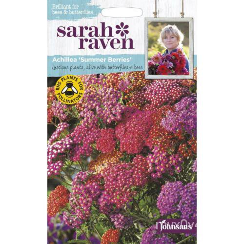 เมล็ด Johnsons Sarah Raven ปลูกสวนของคุณเอง Achillea &amp; #039;Summer Berries &amp; #039; Seeds PKT เมล็ดพันธุ์