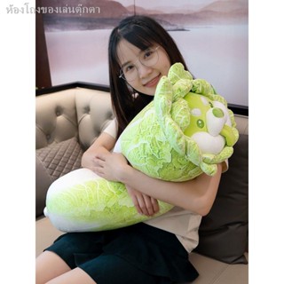 ✲▣¤เอลฟ์ผัก หมอนตุ๊กตาหมาผัก ของขวัญวันเกิด Cabbage Dog Doll