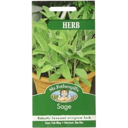 เมล็ด Mr Fothergill & #039; S Herb Seeds SAGE (AVE 75เมล็ด) ผักชี