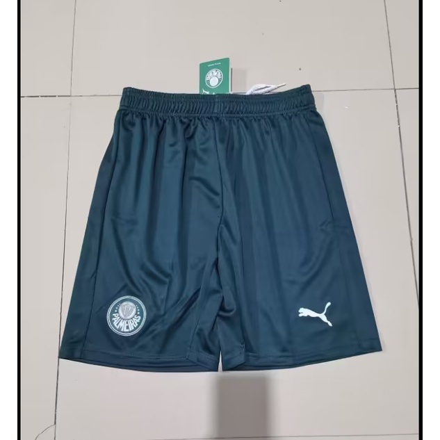 เสื้อกีฬาแขนสั้น ลายทีมชาติฟุตบอล Palmeiras 23 24 ชุดเหย้า กางเกงขาสั้น สีขาว สีเขียว สําหรับผู้ชาย และผู้หญิง 1 : 1