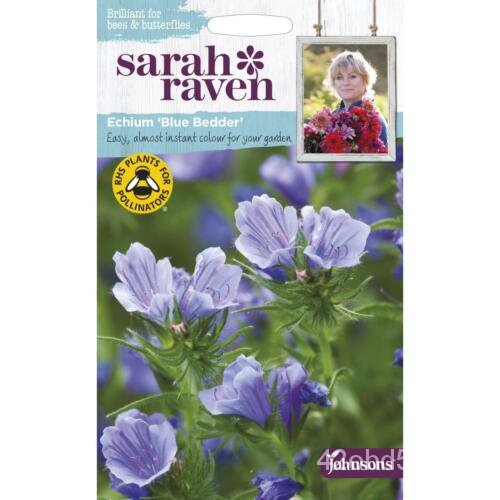 เมล็ด Johnsons Sarah Raven ปลูกดอกไม้ของคุณเอง Echium Blue Bedder Seeds Packet เมล็ดพันธุ์
