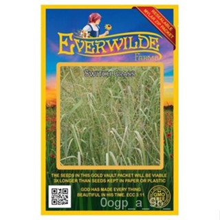 เมล็ด 1000 PCs Switch Grass เมล็ดผักชี้าพื้นเมือง-Everwilde Farm Mylar Seed Pack ผักชี้า