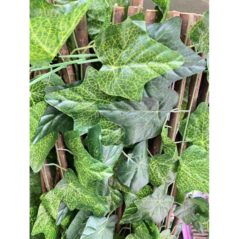 [ถูกที่สุด] รั้วระแน