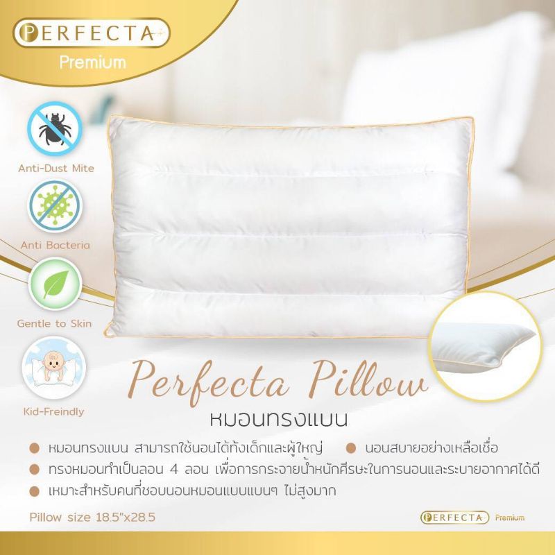 sale ผ้ากันไรฝุ่น %หมอนสุขภาพผู้ใหญ่ กันไรฝุ่นรุ่นพรีเมี่ยม perfecta