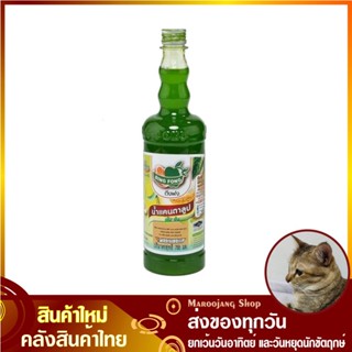 น้ำผลไม้เข้มข้น น้ำแคนตาลูป 755 มล. Dingfong DING FONG ติ่งฟง Concentrated Cantaloupe Squash Fruit Juice น้ำผลไม้ รสแคนต