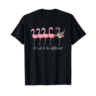 เสื้อยืด ทรงหลวม พิมพ์ลาย ItS Ok To Be Different Autism Flamingo สีดํา สําหรับผู้ชาย ไซซ์ S - 3Xl
