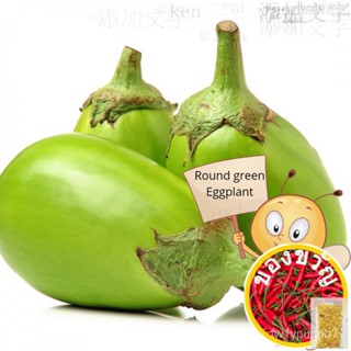 Talong Round Green Binhi Pantanim 10 Seeds Outdoor Vegetable Garden Plant ยแก้ง/ดอกไม้/ไม้จันทน์/กุหลาบ/ของเล่น/รองเท้า/