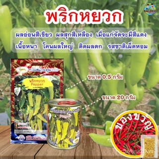 เมล็ดพริกหยวก Pepper ตราภูเขาทอง ขนาด20กรัมและ0.5กรัม เมล็ดพันธุ์พริก เมล็ดพันธุ์พริกหยวก เมล็ดพริก เมล็ดผักสวนครัว เมล็