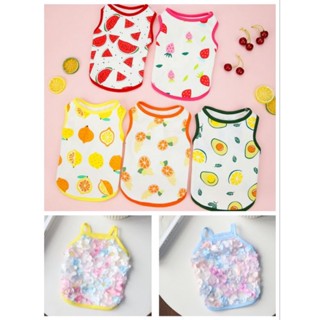 (B03)เสื้อซัมเมอร์สุนัข-แมว (*พร้อมส่งจากไทย!!*) เสื้อสัตว์เ…