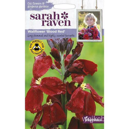 เมล็ด Johnsons Sarah Raven ปลูกดอกไม้ Wallflower ของคุณเองแพ็คเก็ตเมล็ดพืชสีแดงเลือด เมล็ดพันธุ์