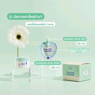 ครีมแคคตัส กระปุกใหญ่20ml.สุดคุ้ม Love Potion