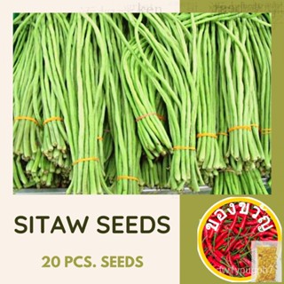 เมล็ด Sitaw ขั้วโลก (เมล็ด20ชิ้น) Mariposa หลากหลาย/ไฮบริด/รองเท้าผลผลิตสูง/หวก/seeds/แอปเปิ้ล/ผักชีฝรั่ง/ดอกไม้/ดอท 5CZ