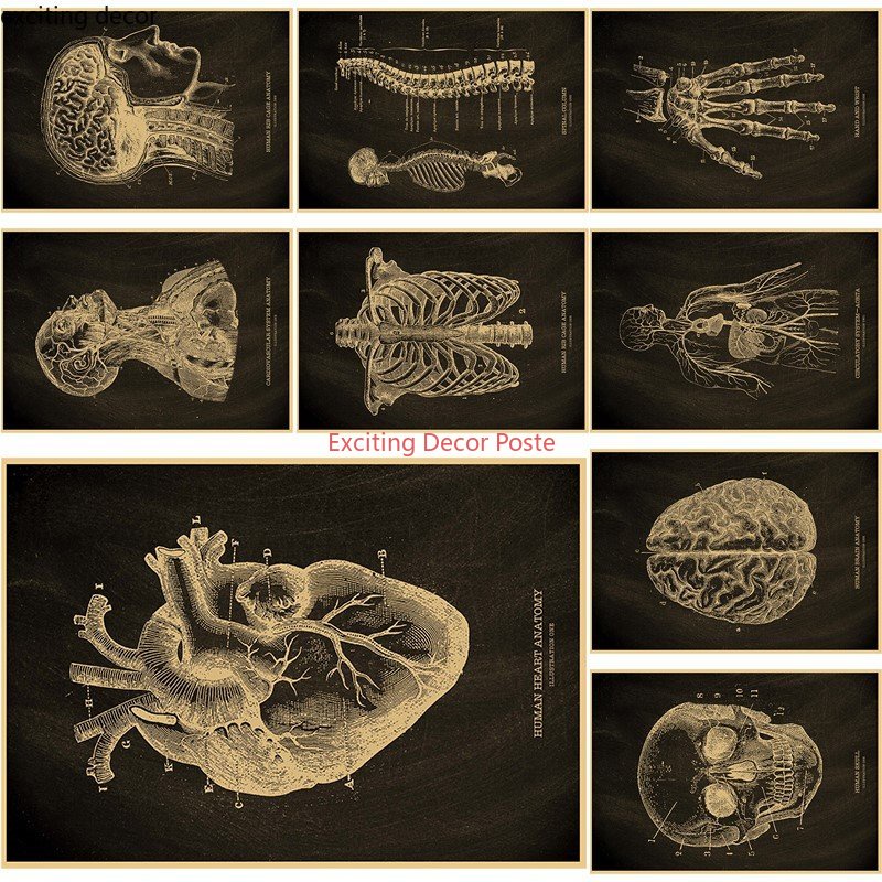 โปสเตอร์กระดาษคราฟท์ รูปโครงกระดูก สไตล์วินเทจ สําหรับตกแต่งผนังบ้าน