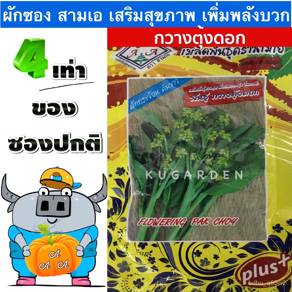 อินทรีย์็ด อินทรีย์็ด AAA  ผักซอง 3A J007#กวางตุ้งผักบุ้ง   ผักซองตั้ง ผักซองจัมโบ้ ซองตั้ง ซอง​จัมโ