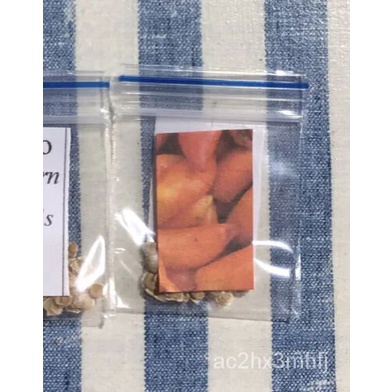 เมล็ด TOMATO (Rams Horn)  225  seeds Per Pkt. Care Instructions Included x ผักบุ้ง
