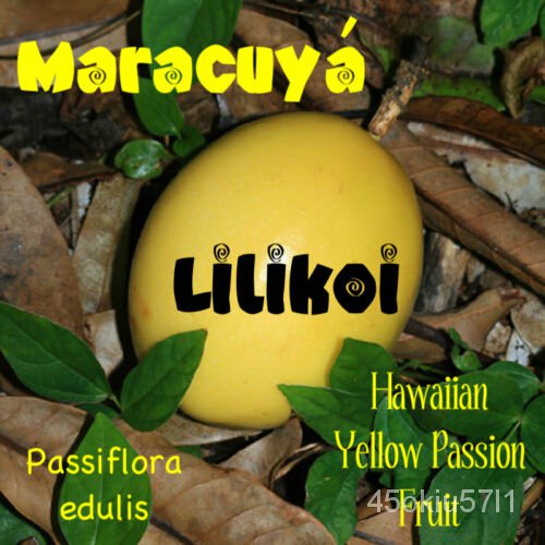 เมล็ด Lilikoi Passion Flower Bolete Yummy Yellow Passion Fruit 50เมล็ดสดผู้ขายฮาวาย