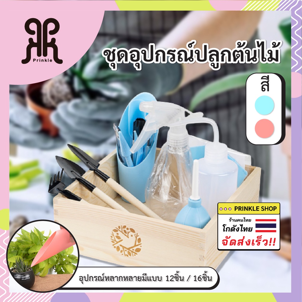 อุปกรณ์ปลูกต้นไม้ Set 12ชิ้น / 16ชิ้นสำหรับปลูกแคคตัส, ไม้อวบน้ำ ดีไซน์น่ารัก สไตล์มินิมอล สีชมพู กับ ฟ้า พร้อมส่งจากไทย