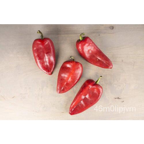 เมล็ด Elephant Ears Croatia Slonovo UVO Ajvar Heirloom Pepper High Quality Seed Package ผักบุ้ง