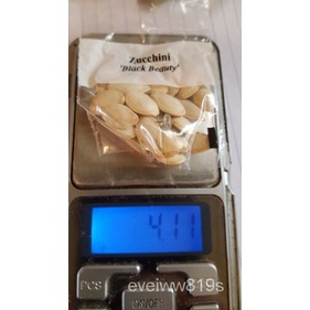 เมล็ด Squash Pumpkin Seeds ผักบุ้ง