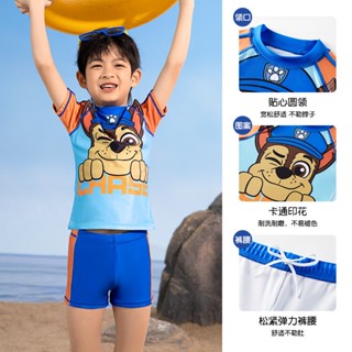 ชุดว่ายน้ํา ลายการ์ตูน Paw Patrol เหมาะกับเดินชายหาดกลางแจ้ง แฟชั่นฤดูร้อน สําหรับเด็กผู้ชาย 2023