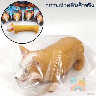 ♠▬พร้อมส่ง❇♦☂หมูยืดดดด สกุชชี่ พร้อมส่งจากไทย ราคาถูก ของเล่นเด็กและผู้ใหญ่คลายเครียด