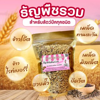 ธัญพืชรวมแสนอร่อย สำหรับสัตวปีกทุกชนิดโดยเฉพาะไก่ซิลกี้ | mix grian