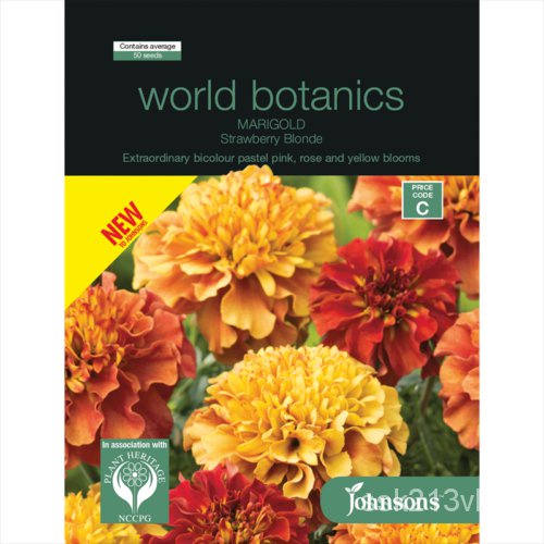 เมล็ด Johnsons World Botanics Marigold Strawberry Blonde 50 Seeds Free Postage ข้าวโพด