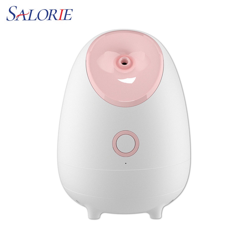 Salorie Facial Steamer Nano Ionic Hot Mist Face Steamer Home Sauna SPA Face Humidifier Atomizer for 
