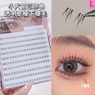 ขนตาปลอม ขนาดใหญ่ จุของได้เยอะ สีโปร่งใส สําหรับคุณแม่
