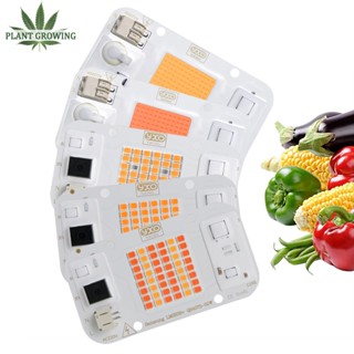 AC 220V LED Chip 50W COB DIY CHIP SamsungLM2835 3500k 660nm 370-780nm led grow light chip สปอตไลท์, ไฟพืช, ไฟน้ำท่วมเสริมด้วยการนำความร้อนวาง