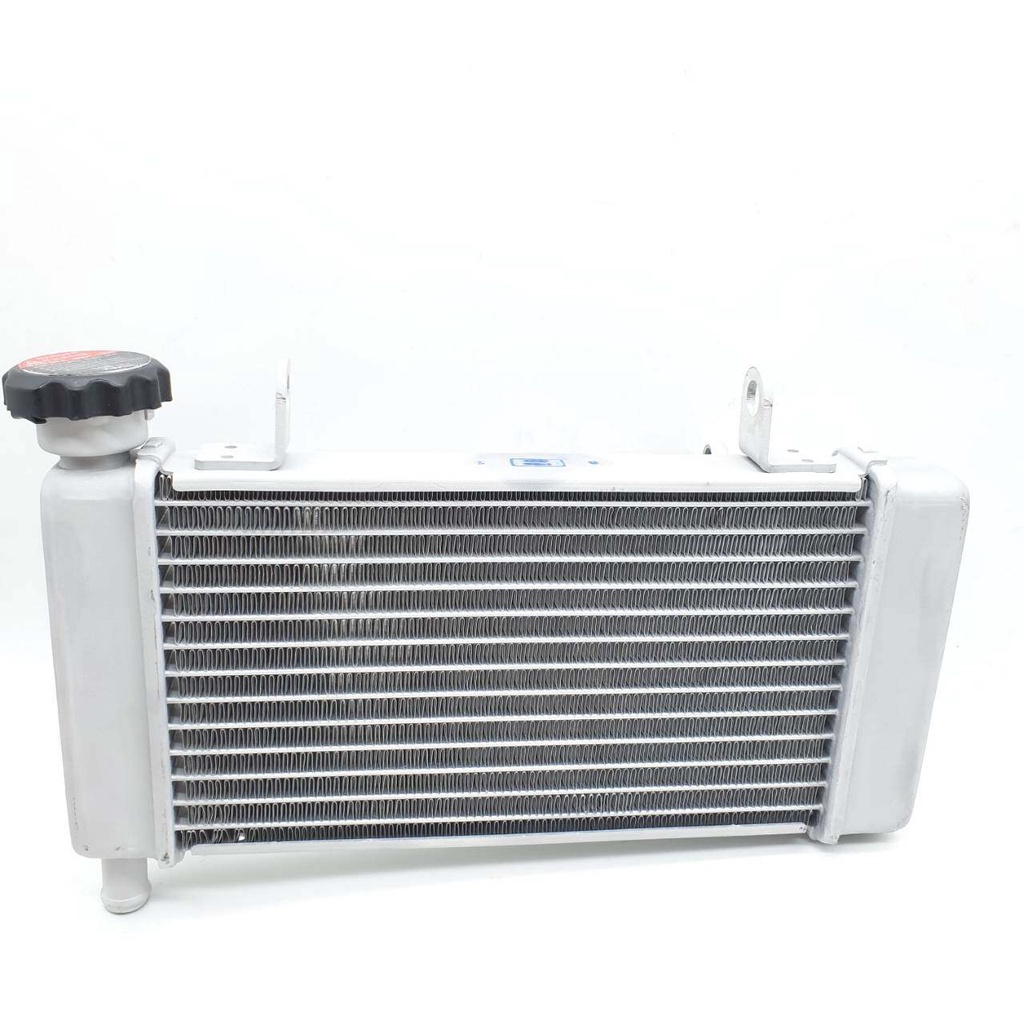 หม้อน้ำ CB300 ก.น้ำตาล