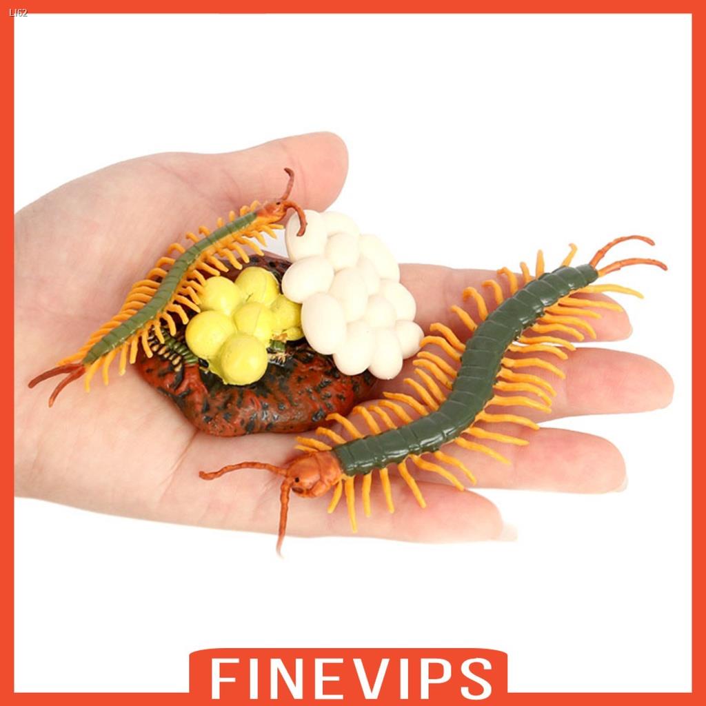 ﹍[FinevipsMY] Lot of 4 Nature Centipede Growth Cycle Child Education Learning Teaching Toy