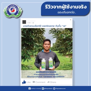 สารทำดอก นอกฤดู แพกโคลบิวทราซอล 25% 1L มะม่วง ทุเรียน ทำสาร นอกฤดู แพคโค ทะวาย