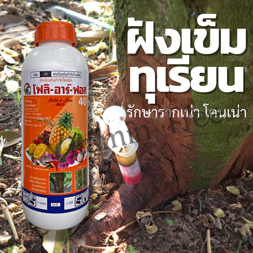 โฟลิอาร์ฟอส 400 1ลิตร ต้นตำรับ ฝังเข็มทุเรียน กรดฟอสโฟนิก สารกำจัดเชื้อรา รากเน่า โคนเน่า ยอดเน่า ต้นเน่าโรคพืช