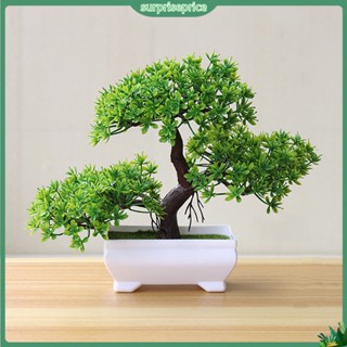 &lt;surprise&gt; Artificial Bonsai Natural Realistic Plastic Welcoming Pine Bonsai for Wedding