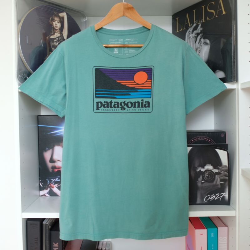 เสื้อยืด Patagonia มือสองของแท้