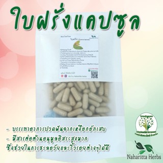 **เจ้าเก่าลิ้งค์ใหม่** ใบฝรั่ง ขนาด 50 / 100 แคป (1เม็ด 500 มก.) สมุนไพรไทยแท้ 100% พร้อมส่ง