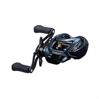 【Direct from Japan】 DAIWA BAIT REEL STEEZ AII TW 1000H 2022