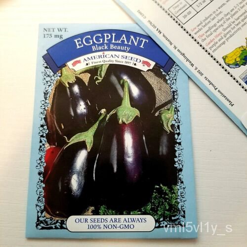 เมล็ด American Seeds Black Beauty Eggplant Seeds 2 Packs 100% Non-GM ต้นอ่อน