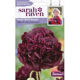 เมล็ด Sarah Raven เติบโตต้นอ่อนไม้ฤดูร้อนที่ง่ายของคุณเอง Poppy Black Beauty Seeds Packet ต้นอ่อน