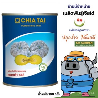 เมล็ด CHIATAI  ใหม่ ฟักทอง ทองคำ443 ตรา เจียไต๋ *แบบกระป๋อง* น้ำหนัก 100 กรัม.  ใหม่ ส่งทั่วไท ใหม่ เพาะ