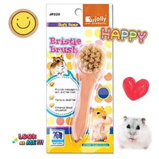 Jolly-New Natural Boar Hair Wooden Soft Bristle Brush Special for Hamster JP220