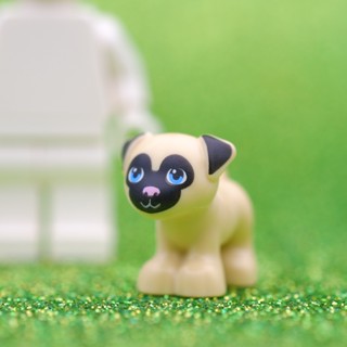 LEGO Pug Dog ANIMAL - LEGO® Authentic เลโก้แท้